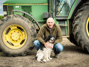 Supporting image for story: Wildlife-friendly incentives must be designed with practical farming in mind