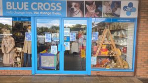 Blue Cross Heath Hayes shop