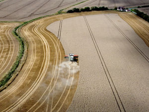 Supporting image for story: Green groups back farmers calling on Government to ‘fix’ agriculture sector