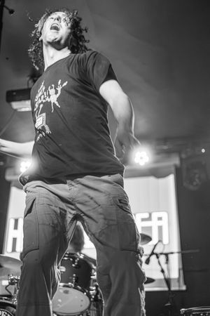 Headfeeder, Shrewsbury, Albert's Shed