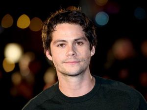 Supporting image for story