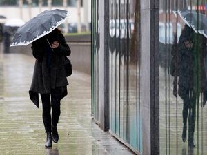 Supporting image for story: Rain welcome but food price hike on way, warn Shropshire farmers