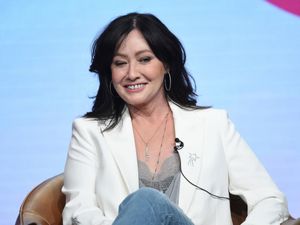 Supporting image for story: Shannen Doherty finalised divorce hours before death