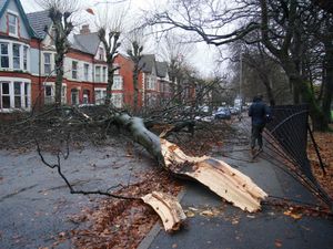 Supporting image for story: Further disruption expected as strong winds continue in wake of Storm Darragh