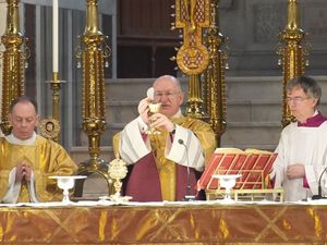 Supporting image for story: Church must learn from abuse victims, new Catholic leader says at installation