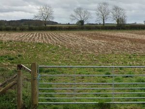 Supporting image for story: Plans granted for nine homes near Ellesmere