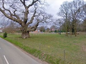 Supporting image for story: Farm’s former potato store to be converted into cafe for walkers