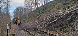Fallen trees disrupted the railway.