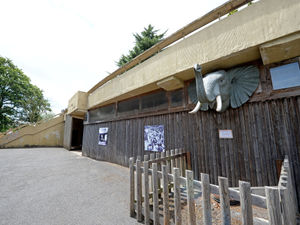 Supporting image for story: Black Country zoos facing financial uncertainty