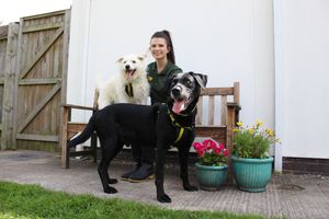 Snowey and Ozzy with Canine Carer Elizabeth Terry