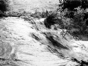 Supporting image for story: Pictures from the past