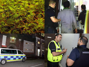 Supporting image for story: £1.3 MILLION cannabis factory found as four illegal Indian workers arrested in Smethwick immigration raid