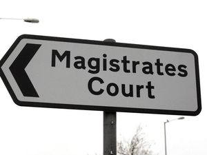 Supporting image for story: Son awaits sentence over home damage