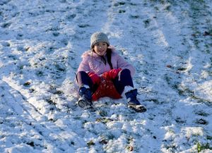 Snow arrives at Telford Town Park. Photo: Tim Thursfield