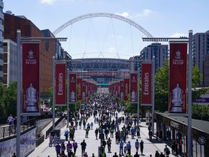 Supporting image for story: Fines and match bans for stadium tailgating to become law by Euro 2028 – MP