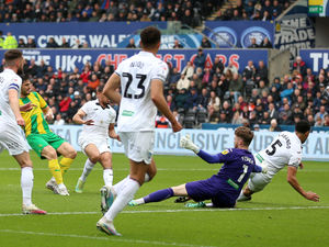 Supporting image for story: Swansea 3 West Brom 2 - Report