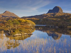 Supporting image for story: Thousands of acres of new native woods planned for Highlands community estate