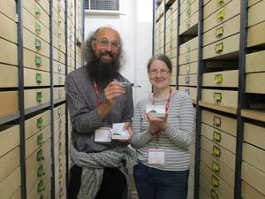 Supporting image for story: Fossils at Llandrindod Wells library!