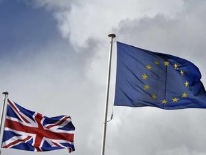 Supporting image for story: Remoaners seems to forget the meaning of democracy