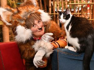 Supporting image for story: Panto star Doreen the Cat meets her own kind at cafe