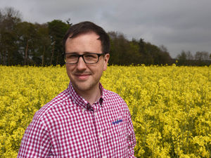 Supporting image for story: Pod protection to stop larvae losses