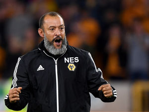 Supporting image for story: Wolves comment: The two things which would make season a success