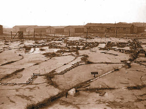 Supporting image for story: Dig begins on Cannock Chase to uncover unique wartime model