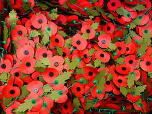 Supporting image for story: Branch's poppy appeal is a record breaker with almost £20,000 raised