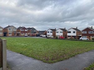 Supporting image for story: Residents outbid in battle to buy green space