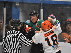 Supporting image for story: Telford Tigers claim victory despite third-period scare
