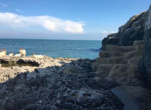 The goats stuck on Austin's Rocks on the Great Orme