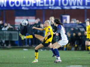 Supporting image for story: Dan McNamara: Tammi George is key to Wolves Women