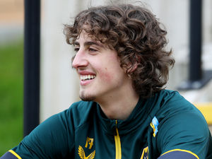 Supporting image for story: Exclusive: Galatasaray eye swoop for Wolves striker Fabio Silva