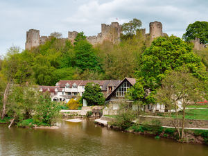 Supporting image for story: Traditional Ludlow mill is moving with times - with pictures