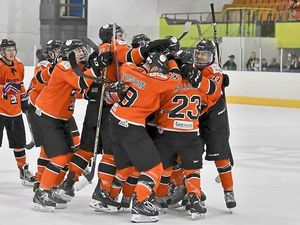 Supporting image for story: Telford Tigers 2 sting table-toppers