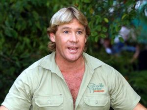 Supporting image for story