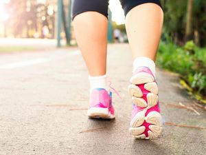 Supporting image for story: Montgomery Walking Festival cancelled due to coronavirus