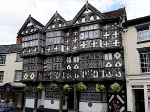 Supporting image for story: Delight at new owner for Ludlow's Feathers Hotel