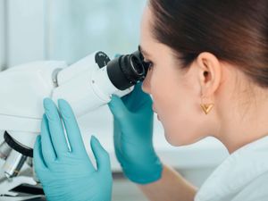 Supporting image for story: Double-pronged attack on advanced prostate cancer shows promise