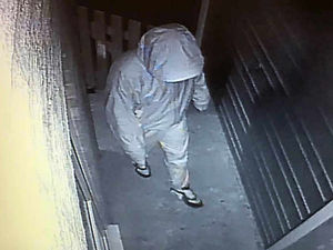 Supporting image for story: CCTV: Would-be burglar concerns residents near Oswestry