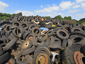 Supporting image for story: Tyre-some Shropshire sight will remain until winter