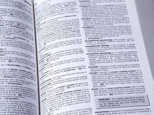 Supporting image for story: Dictionary showcases tool for people to find out words added in their birth year