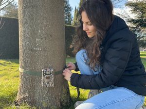 Supporting image for story: People with trail cameras needed for hedgehog conservation study