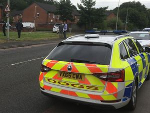 Supporting image for story: Woman sexually assaulted on Telford street