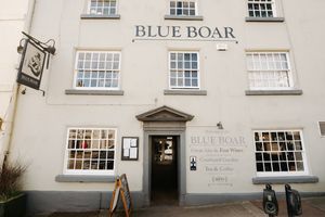 Blue Boar. Photo: Jamie Ricketts