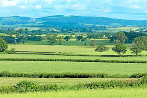 The farm boasts 384 acres of arable land and two refurbished cottages