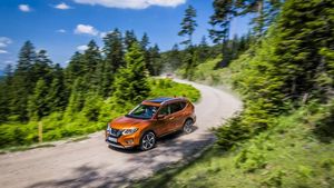 Supporting image for story