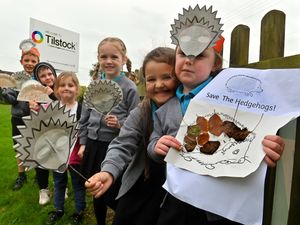 Supporting image for story: Hedgehog Heroes take part in sponsored walk to raise money for declining population of the prickly creatures