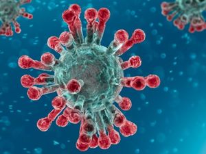 Supporting image for story: Concern as Covid-19 cases increase to 19.6 per 100,000 population