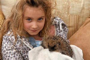 Supporting image for story: Oswestry family helping to save the humble hedgehog